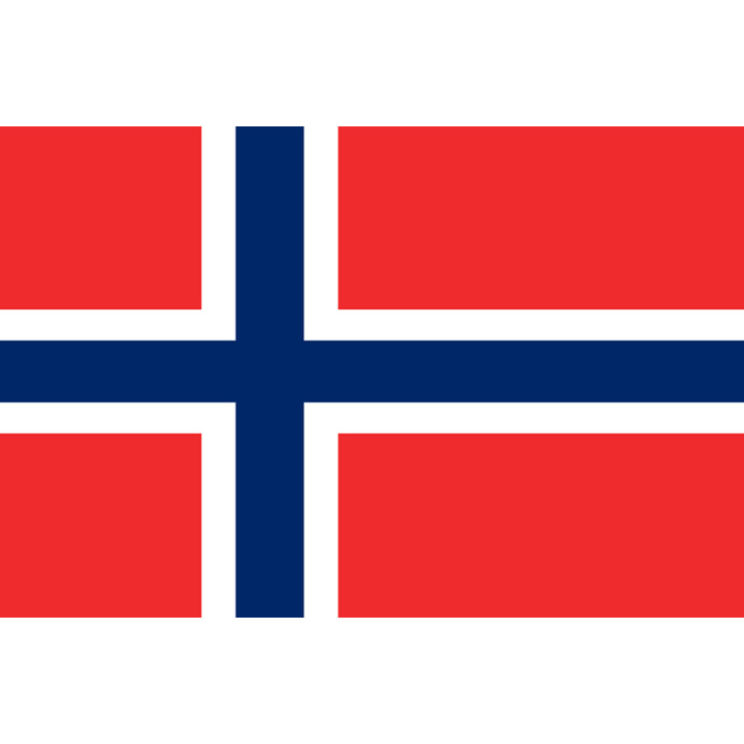 Drapeau Norvège (19.5x13cm) - Sticker/autocollant