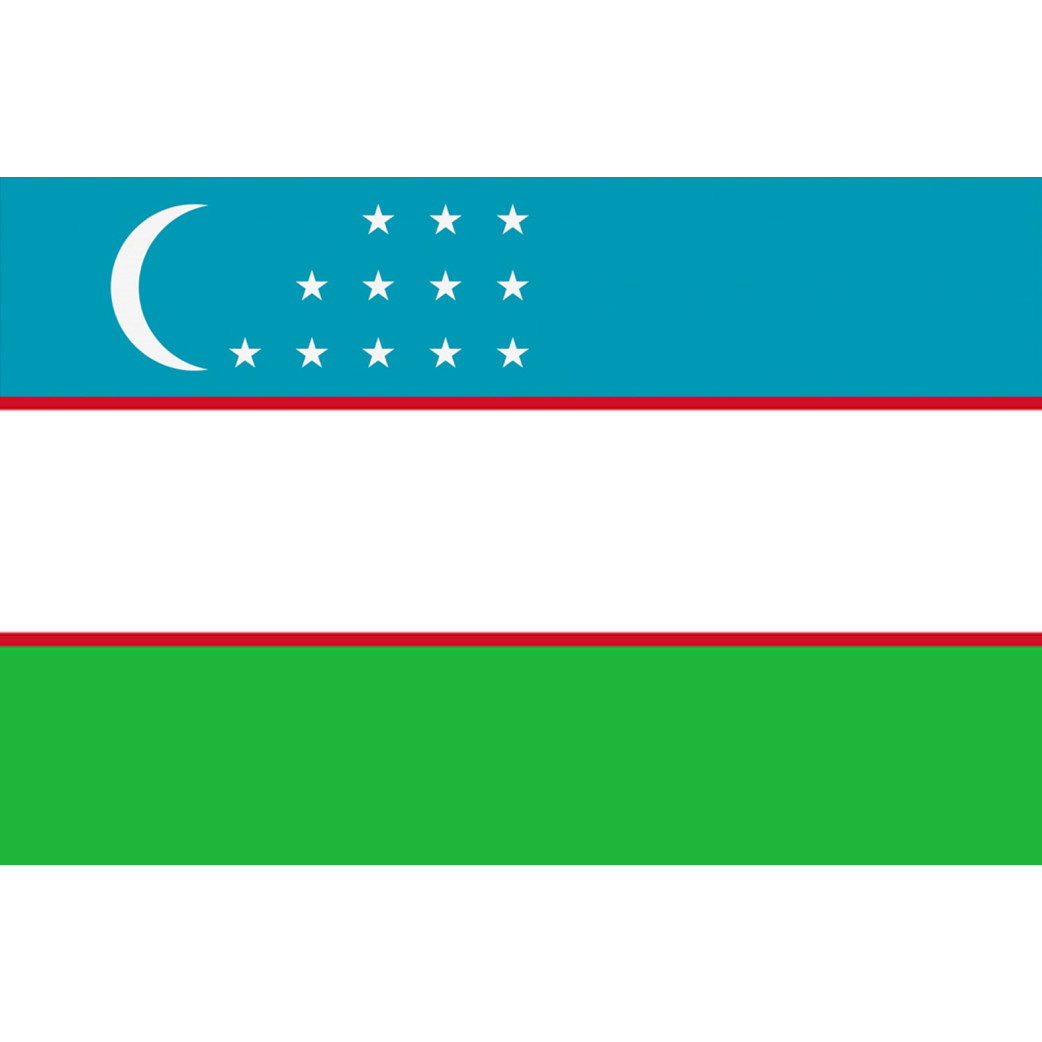 Drapeau Ouzbékistan (19.5x13cm) - Sticker/autocollant
