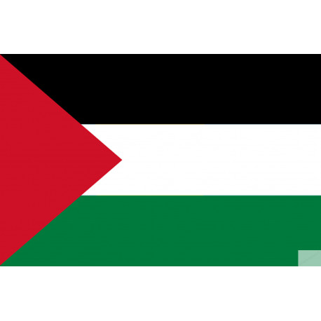 Drapeau Palestine (19.5x13cm) - Sticker/autocollant