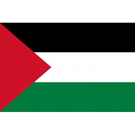 Drapeau Palestine (19.5x13cm) - Sticker/autocollant