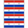 Drapeau Paraguay (8 fois 9.5x6.3cm) - Sticker/autocollant