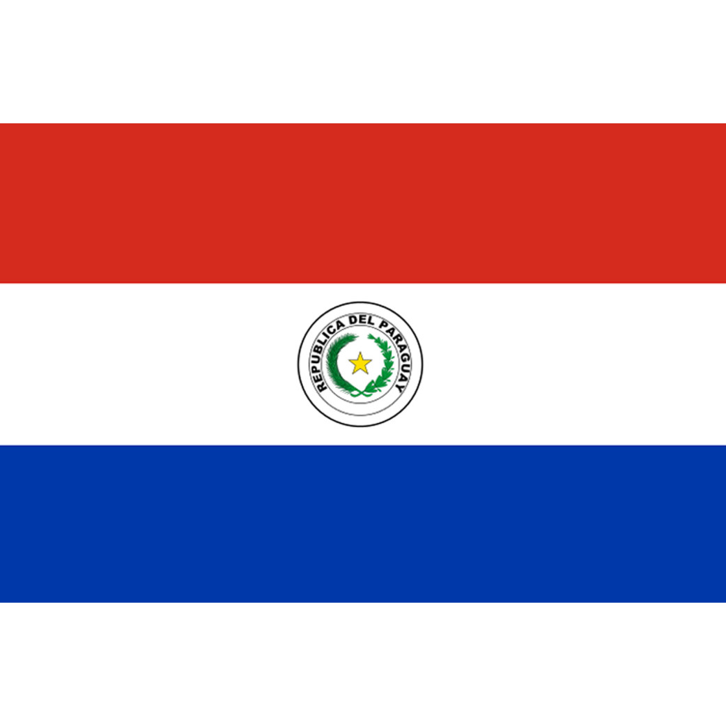 Drapeau Paraguay (5x3.3cm) - Sticker/autocollant