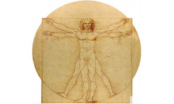L'homme de Vitruve (20x19cm) - Sticker/autocollant