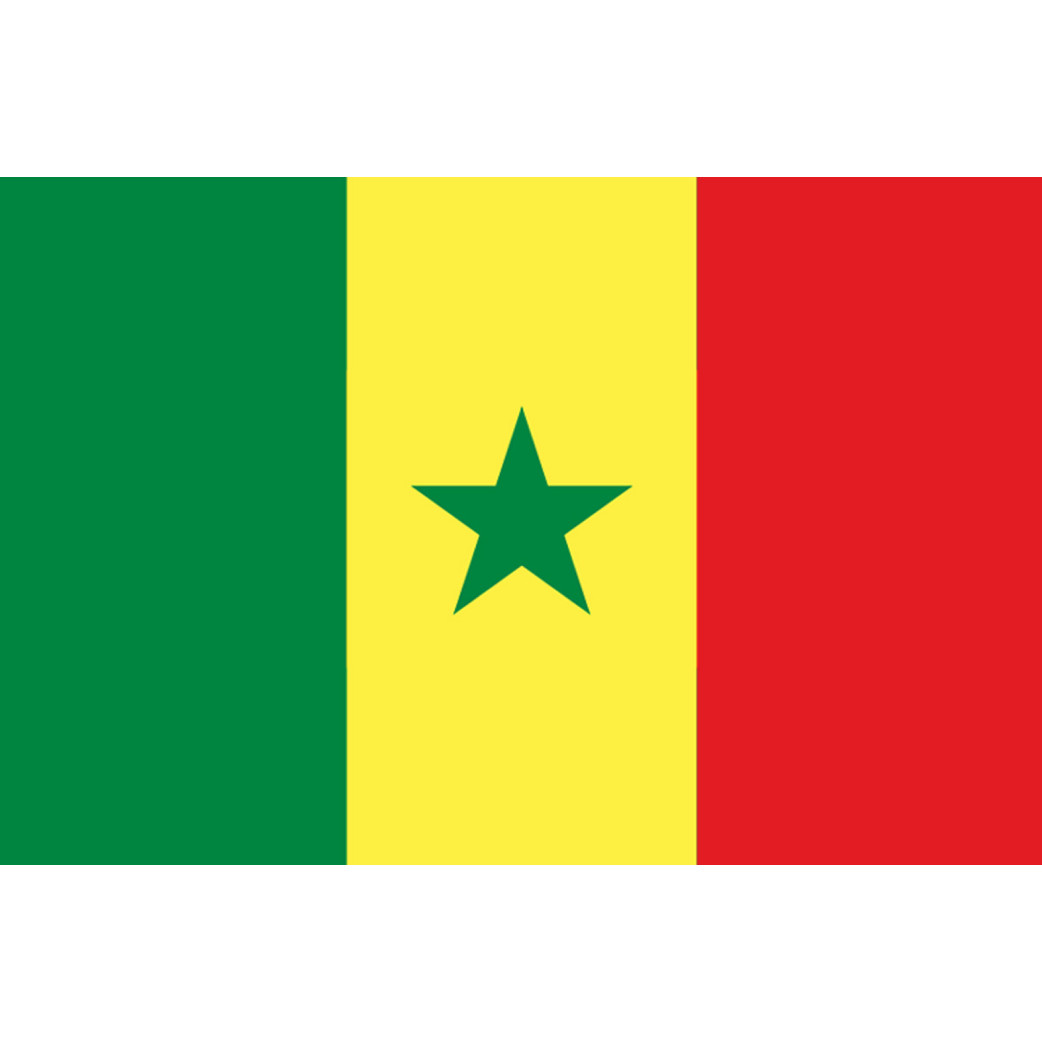 Drapeau Sénégal (15x10cm) - Sticker/autocollant