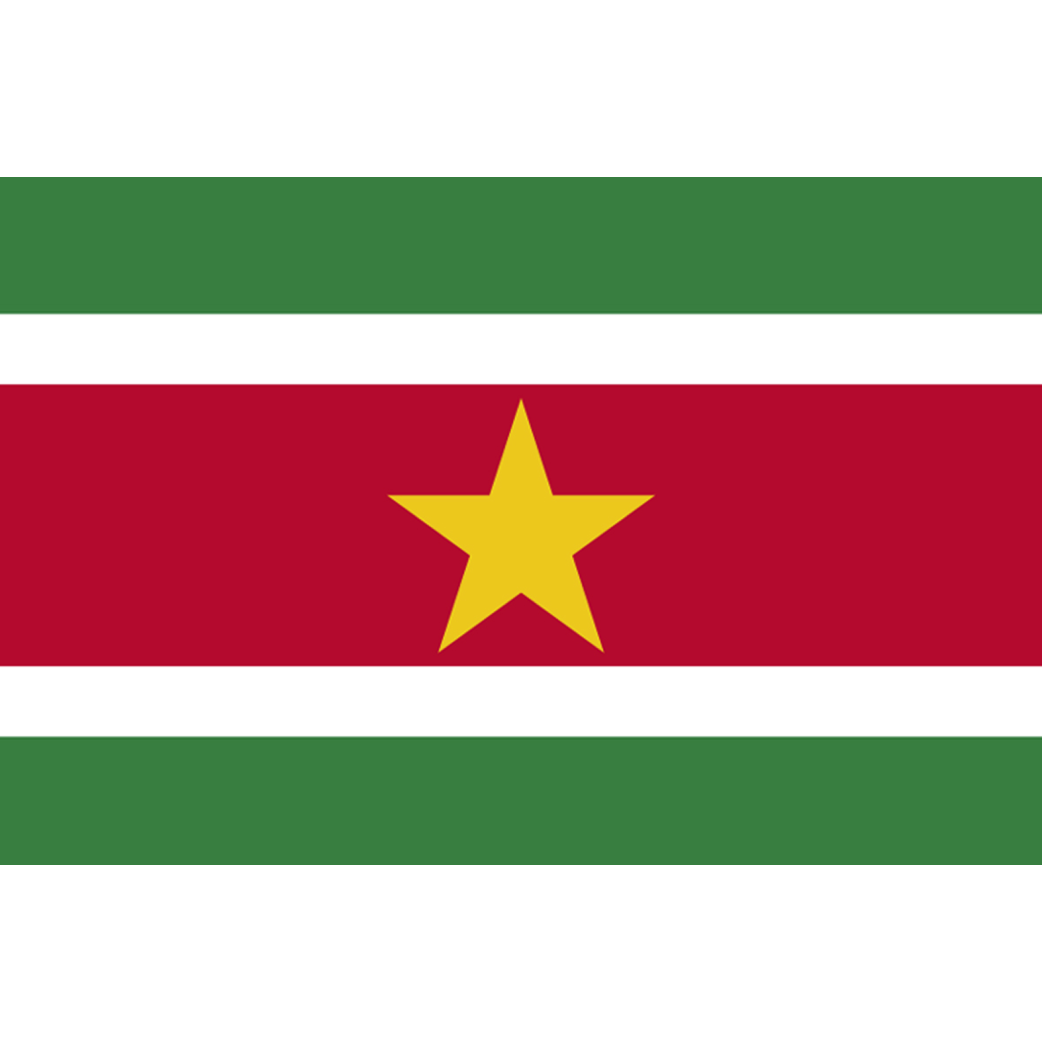 Drapeau Suriname (5 x 3.3 cm) - Sticker/autocollant