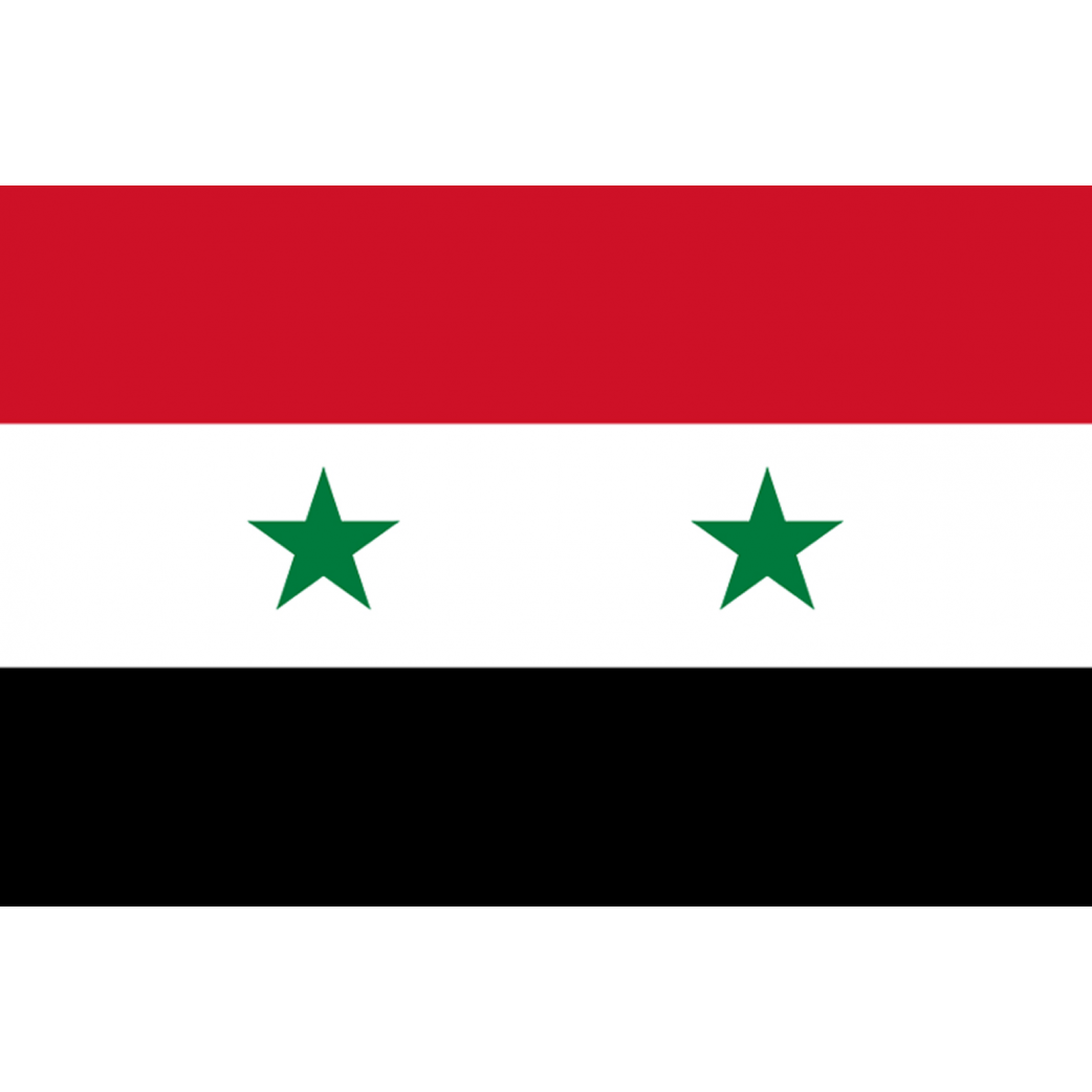 Drapeau Syrie av.2024 (19.5 x 13 cm) - Sticker/autocollant