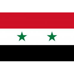 Drapeau Syrie av.2024 (19.5 x 13 cm) - Sticker/autocollant