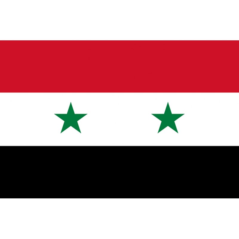 Drapeau Syrie av.2024 (15 x 10 cm) - Sticker/autocollant Drapeau Syrie av.2024 (15 x 10 cm) - Sticker/autocollant