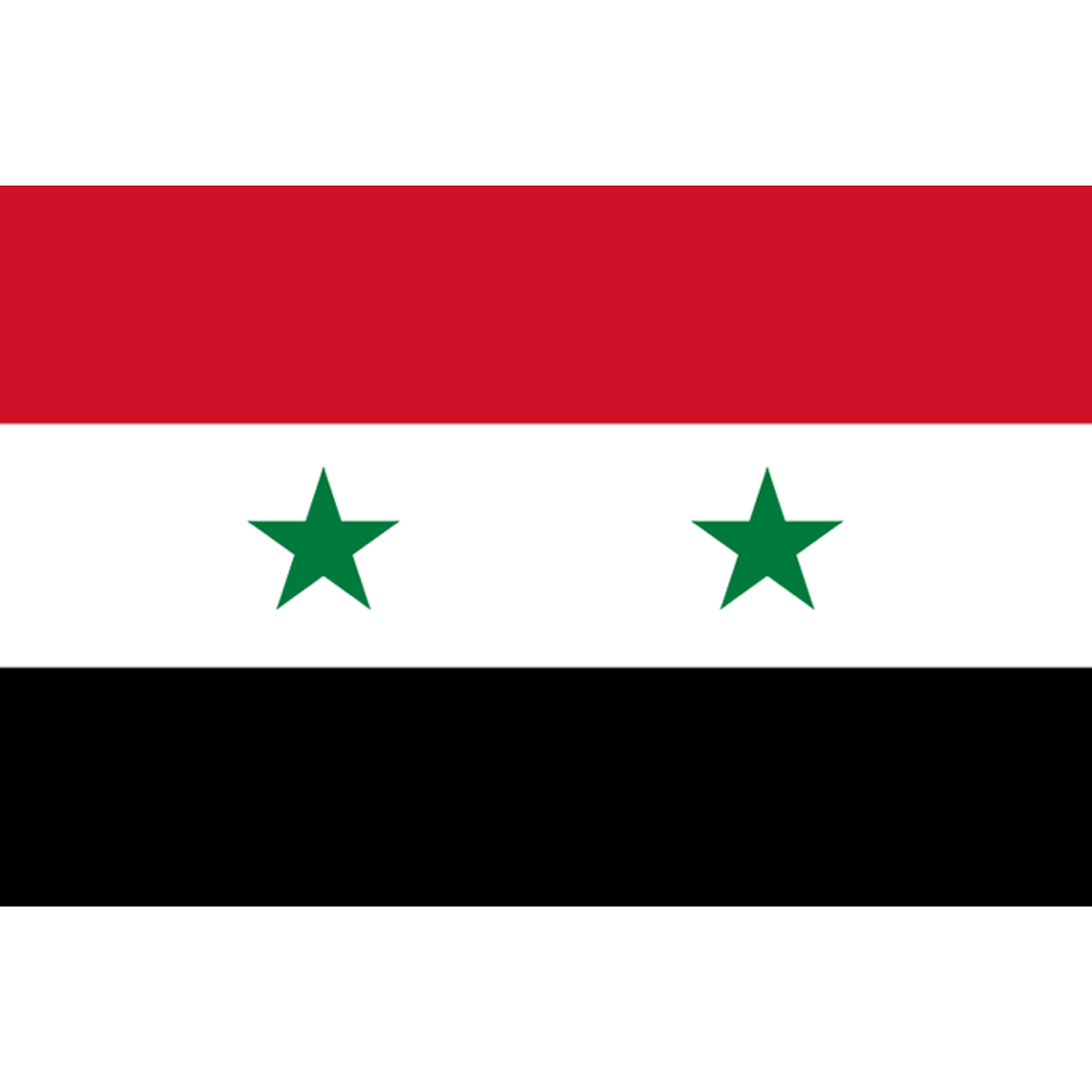 Drapeau Syrie av.2024 (5 x 3.3 cm) - Sticker/autocollant