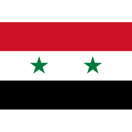 Drapeau Syrie av.2024 (5 x 3.3 cm) - Sticker/autocollant