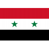 Drapeau Syrie av.2024 (5 x 3.3 cm) - Sticker/autocollant
