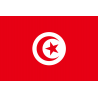 Drapeau Tunisie (19.5 x 13 cm) - Sticker/autocollant