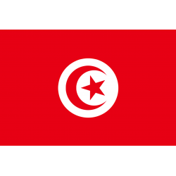 Drapeau Tunisie (15 x 10 cm) - Sticker/autocollant