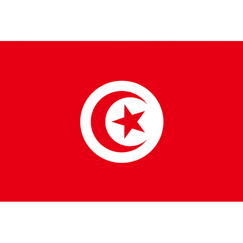 Drapeau Tunisie (15 x 10 cm) - Sticker/autocollant