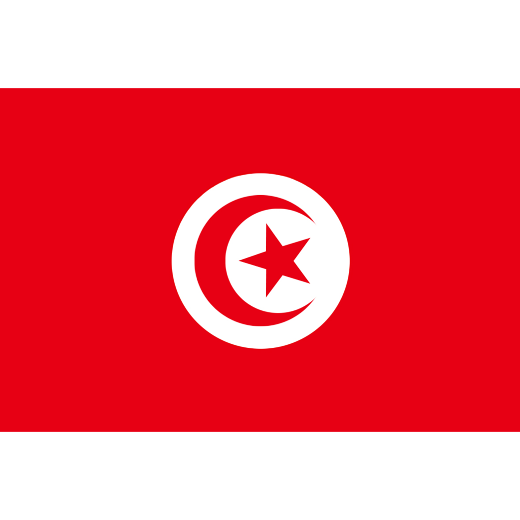 Drapeau Tunisie (5 x 3.3 cm) - Sticker/autocollant