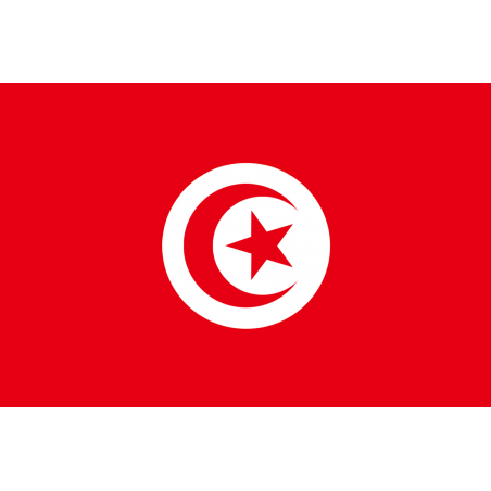 Drapeau Tunisie (5 x 3.3 cm) - Sticker/autocollant