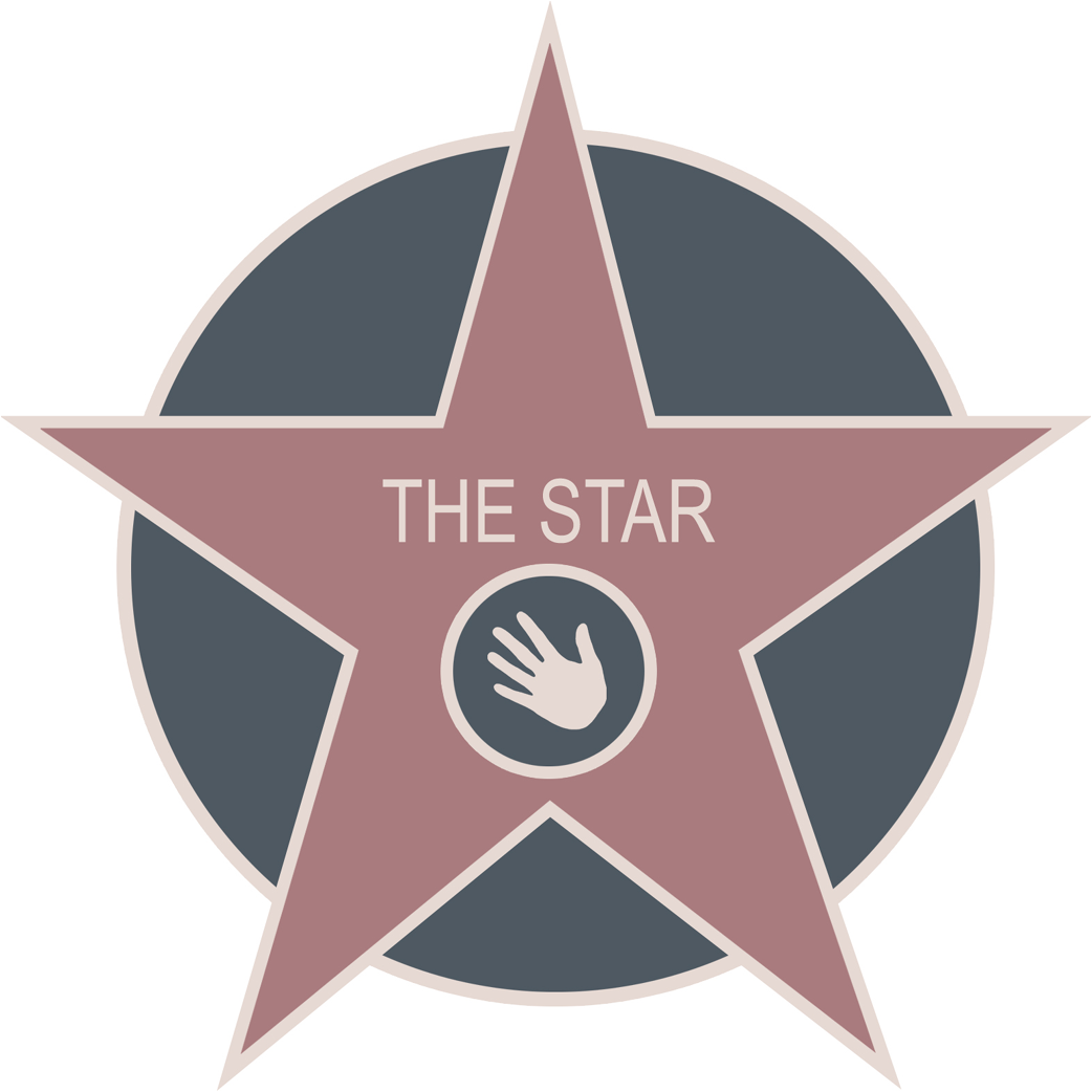 THE STAR (20x20cm) - Sticker/autocollant