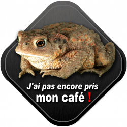 Mon café (20x20cm) - Sticker/autocollant