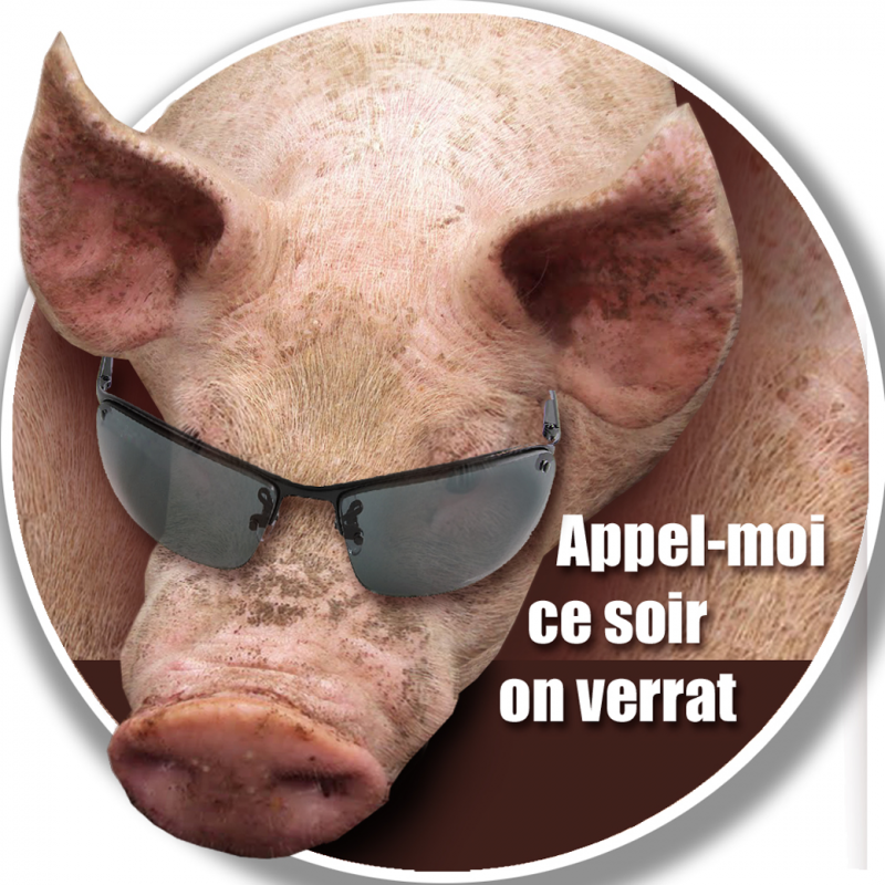 Appel-moi on verrat (10x10cm) - Sticker/autocollant