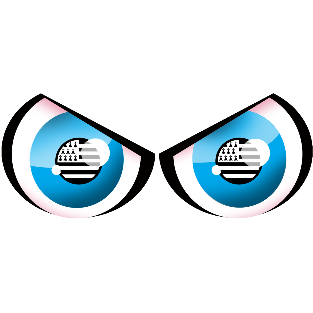 yeux drapeau breton (10x4cm) - Sticker/autocollant