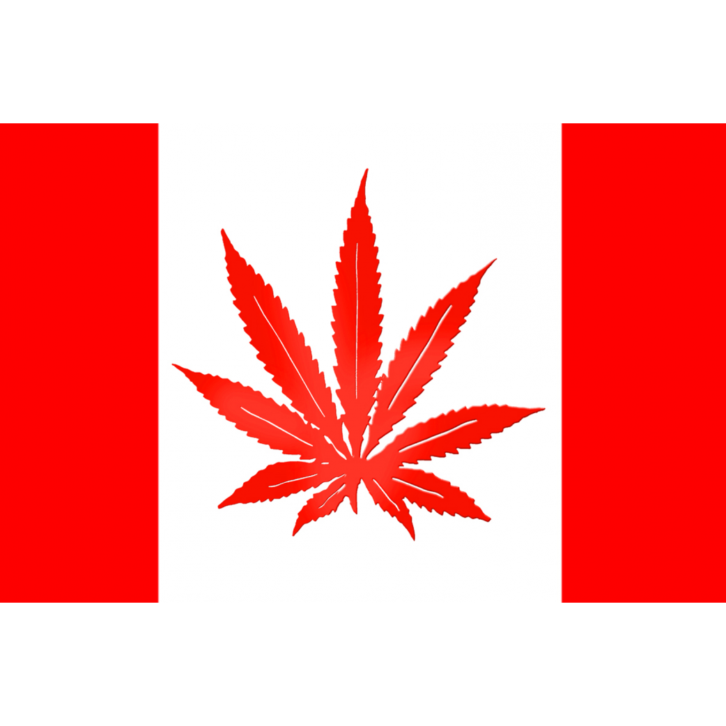 Drapeau canada canabis (10x6.5cm) - Sticker/autocollant