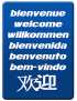 Bienvenue international (15x11cm) - Sticker / autocollant