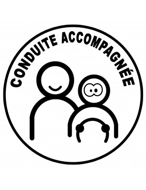 conduite accompagnée ado concentré - 15cm - Sticker/autocollant