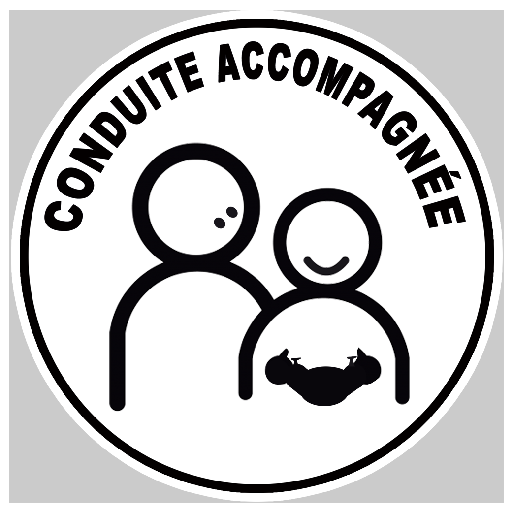 conduite accompagnée gamer - 15cm - Sticker/autocollant