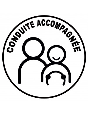 conduite accompagnée classique - 15cm - Sticker/autocollant