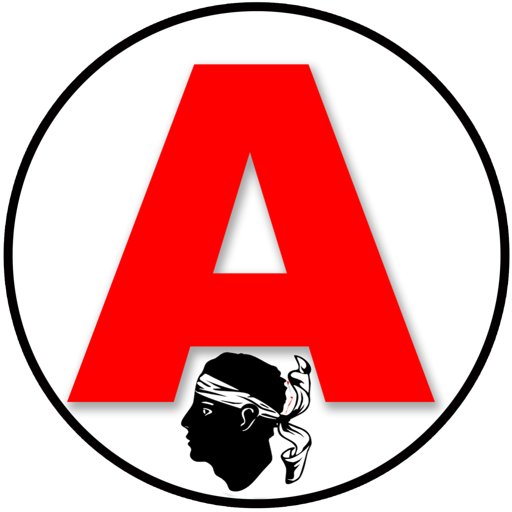 A jeune conducteur Corse - 15cm - Sticker/autocollant