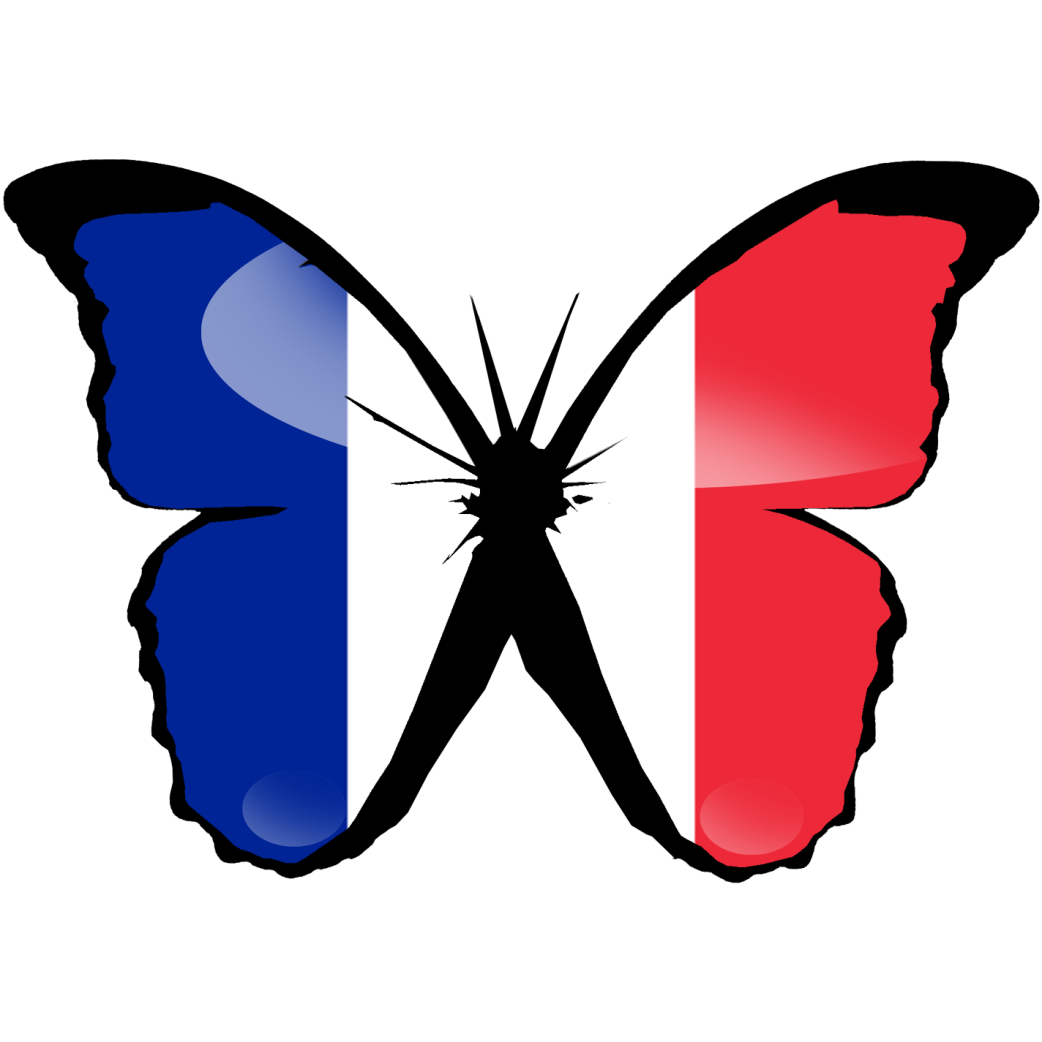 effet papillon France - 10x7cm - Sticker/autocollant