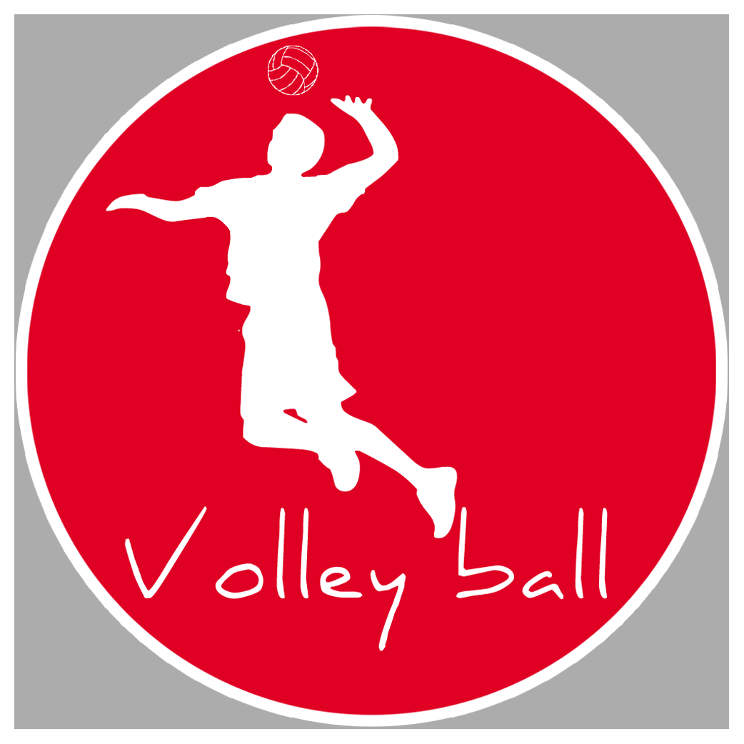 Volley ball - 15cm - Sticker/autocollant