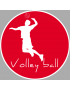 Volley ball - 15cm - Sticker/autocollant