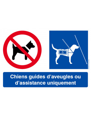 Interdit Sauf Chiens Guides (29x20cm) - Sticker / autocollant