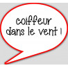 coiffeur dans le vent - 10x9cm - sticker/autocollant
