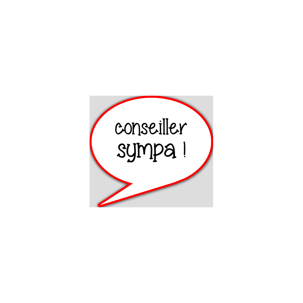 conseiller sympa - 10x9cm - sticker/autocollant