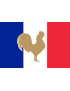 Coq Français - 19.5x13cm - Sticker/autocollant