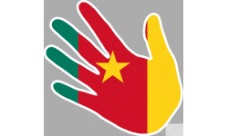 drapeau cameroun main