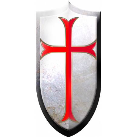 Bouclier Croisé - 20x10cm - Sticker/autocollant