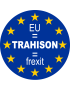 UE - TRAHISON - FREXIT (15x15cm) - Sticker/autocollant