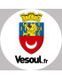 Vesoul - 20x20cm - Sticker/autocollant
