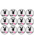 Playtil (12 fois 5cm) - Sticker/autocollant