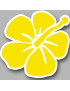 Repère fleur 3 - 10cm - Sticker/autocollant