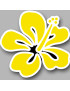 Repère fleur 8 - 10cm - Sticker/autocollant