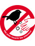 Ne pas nourrir les oiseaux - 10cm - Sticker/autocollant
