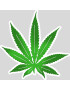 Feuille de cannabis (20x20cm) - Sticker/autocollant
