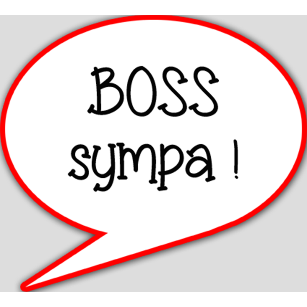 Boss sympa (15x13.5cm) - sticker/autocollant