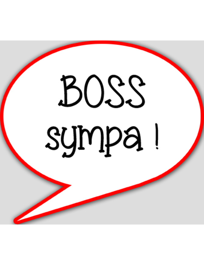 Boss sympa (15x13.5cm) - sticker/autocollant