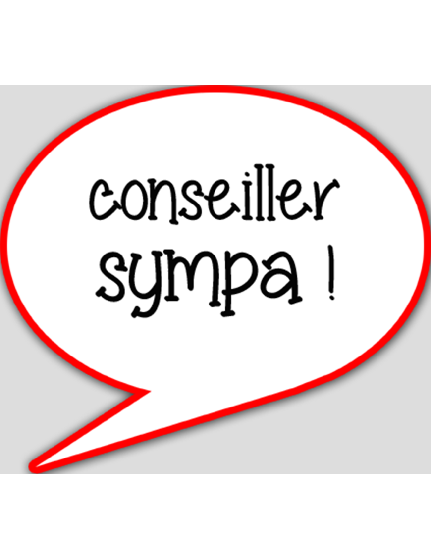 Conseiller sympa (15x13.5cm) - sticker/autocollant