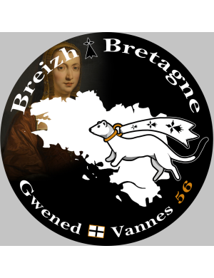 Gwened Vannes - 20x20cm - Sticker/autocollant